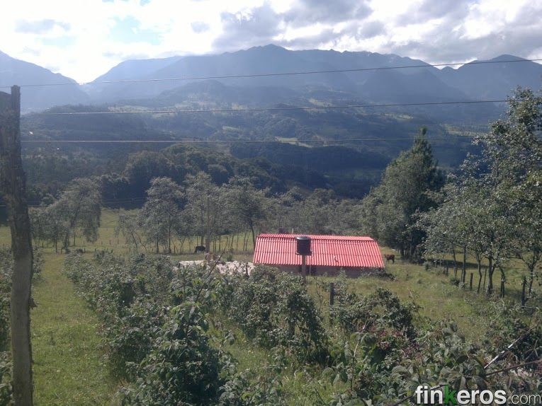 Finca ARCABUCO - Finca en Arcabuco, Boyacá